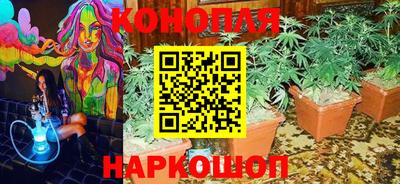 прущие грибы Нягань
