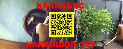 ECSTASY Обь