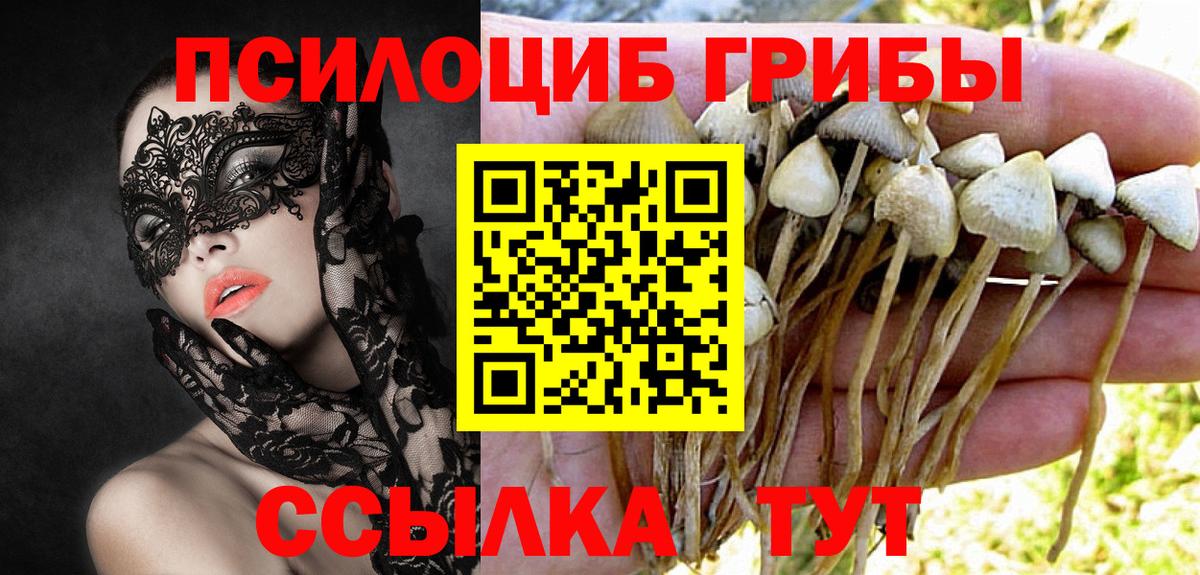 Псилоцибиновые грибы Magic Shrooms  Вход с VPN  Энгельс 
