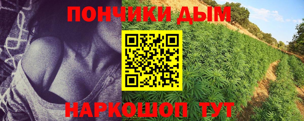 Канабис семена  Марихуана планчик  Энгельс  Вход с VPN 